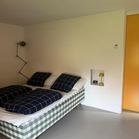 Architect-designed With Pool Close To Downtown
